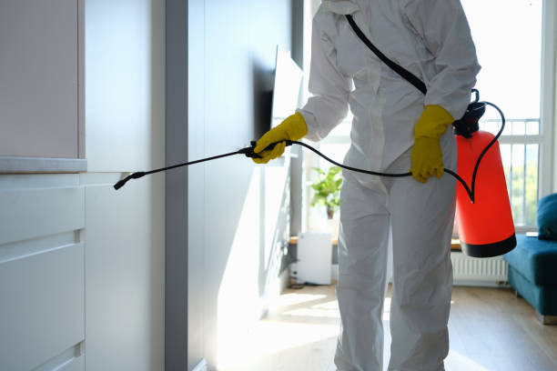 Best Certified Mold Removal  in Albion, NE