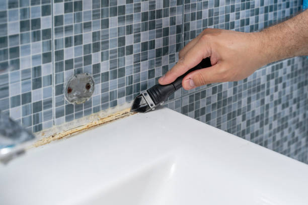 Best Attic Mold Removal  in Albion, NE